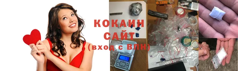 дарнет шоп  Зарайск  COCAIN Fish Scale 