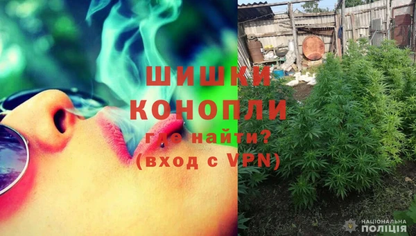 крисы Куйбышев