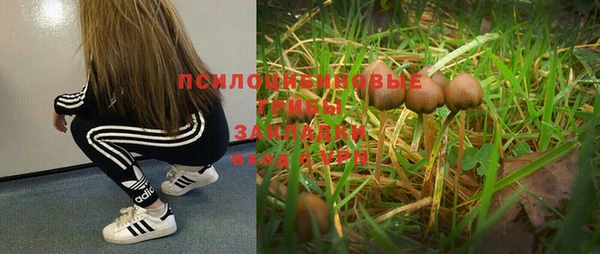 a pvp Кукмор