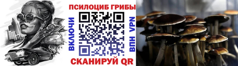 купить   Зарайск  Псилоцибиновые грибы мухоморы 